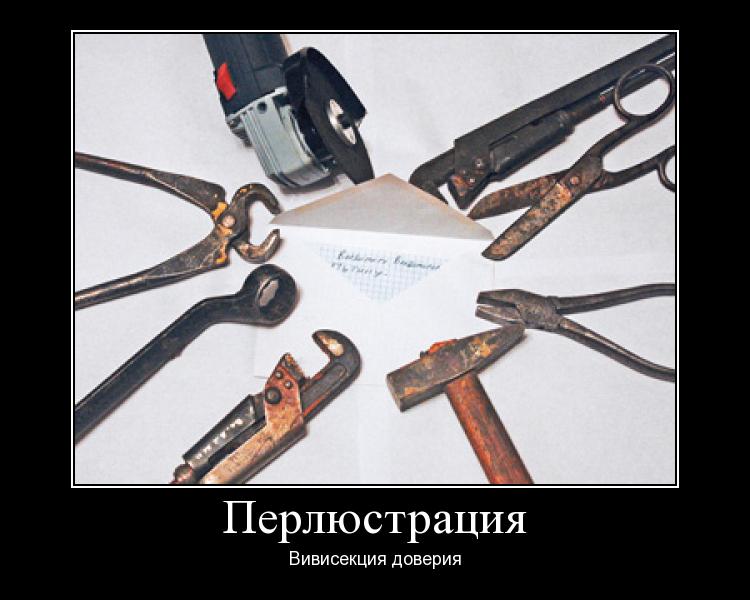 Перлюстрация Перлюстрация